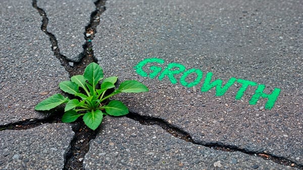 Abstract image of a defined boundary creating protected space, representing limits that make durable growth possible.